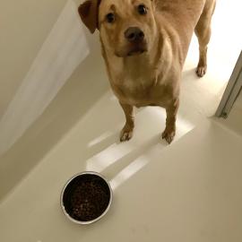 Photo for 159773 [fr159773]