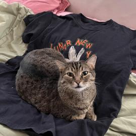 Photo for 159808 [Freja ]