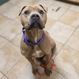 Photo for 159814 [388108]