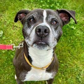 Photo for 159834 [388155]