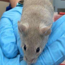 Photo for 159871 [388205]