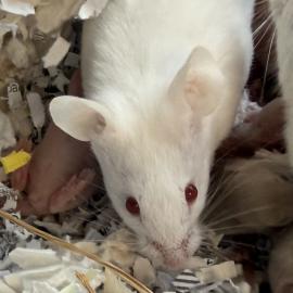 Photo for 159877 [388208]