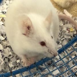 Photo for 159879 [388209]