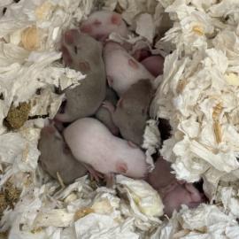 Photo for 159885 [388212]