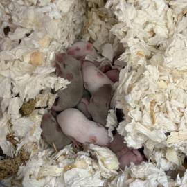 Photo for 159887 [388213]