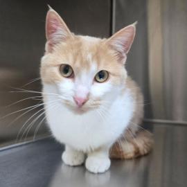 Photo for 159901 [388236]