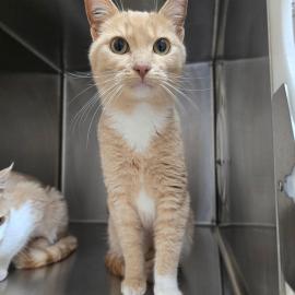 Photo for 159903 [388237]