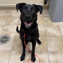 Photo for 159969 [Meeka]