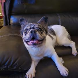 Photo for 159977 [fr159977]