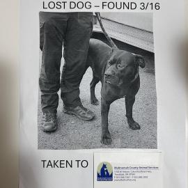 Photo for 159982 [fr159982]