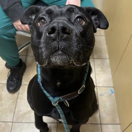 Photo for 159992 [Bip]