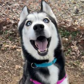 Photo for 160023 [Kane]