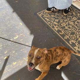 Photo for 160027 [fr160027]