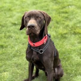 Photo for 160127 [388467]