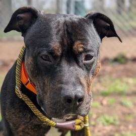 Photo for 160196 [388647]