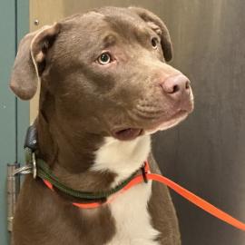 Photo for 160394 [388974]