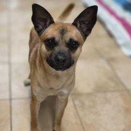 Photo for 160440 [389056]