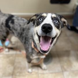 Photo for 160475 [Goonie]