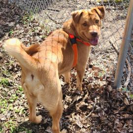 Photo for 160481 [Trinity]