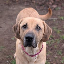 Photo for 160485 [389286]