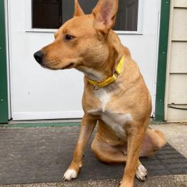 Photo for 160489 [Aurora]