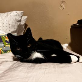 Photo for 160550 [Sister]