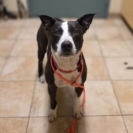 Photo for 160592 [389553]