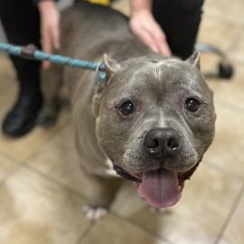 Photo for 160667 [389724]