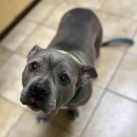 Photo for 160669 [389725]