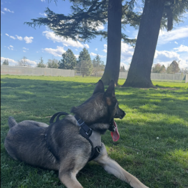 Photo for 160703 [Dexter Morgan ]