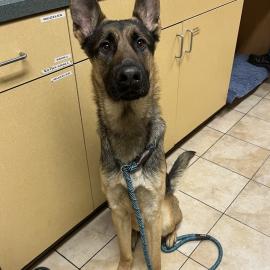 Photo for 160718 [389784]