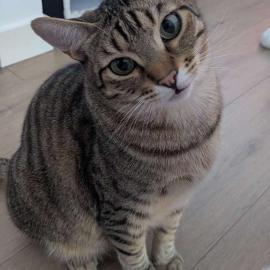 Photo for 160736 [Salvador ]