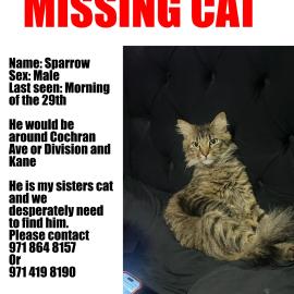 Photo for 160755 [Sparrow]