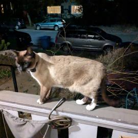 Photo for 160759 [fr160759]