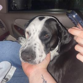 Photo for 160763 [fr160763]