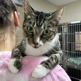 Photo for 160781 [389892]