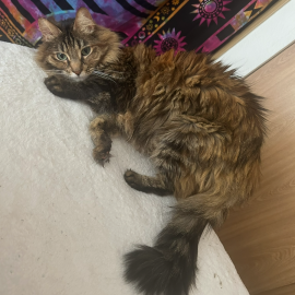 Photo for 160806 [Powder]