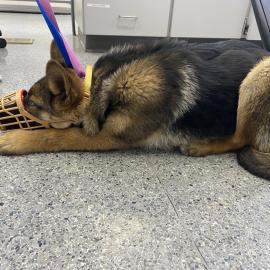 Photo for 160820 [250237]