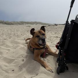 Photo for 160824 [Tank]