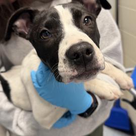 Photo for 160829 [389942]