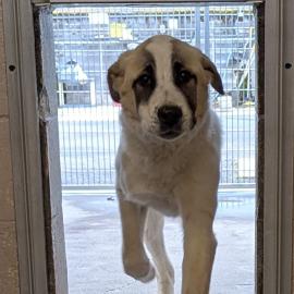 Photo for 160847 [390004]