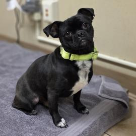 Photo for 160883 [390042]