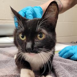 Photo for 160899 [390054]