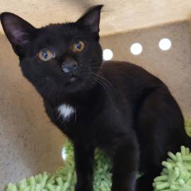 Photo for 160901 [390055]