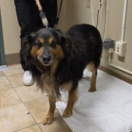 Photo for 160905 [May]