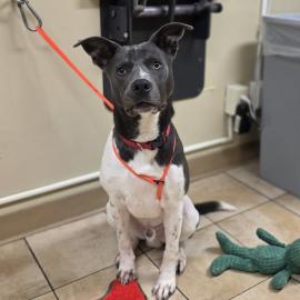 Photo for 160907 [Ace]