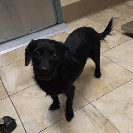 Photo for 160909 [390063]