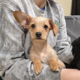 Photo for 160911 [390064]