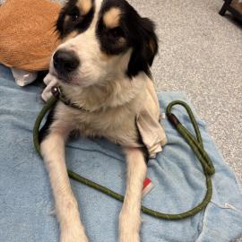 Photo for 160915 [390066]