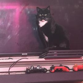 Photo for 160922 [Azrella ]